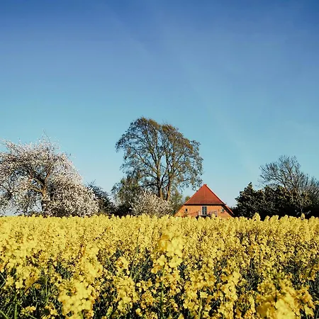 Modernity In With Lagoon View *